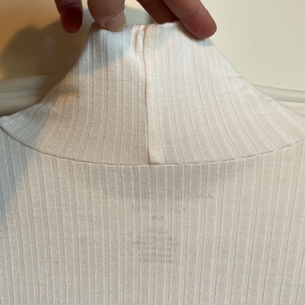 AE Ribbed Mock Neck Top - Picture 5 of 6